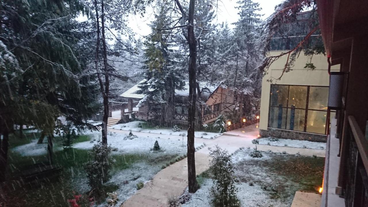 Bolu Koru Hotels Spa & Convention Yolcatı Eksteriør billede