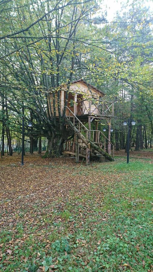 Bolu Koru Hotels Spa & Convention Yolcatı Eksteriør billede